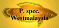 P. spec.
`Westmalaysia