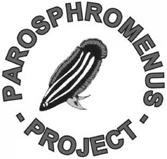 ParosProject