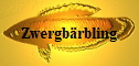 Zwergbrbling