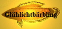 Glhlichtbrbling