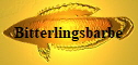 Bitterlingsbarbe