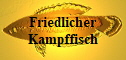 Friedlicher