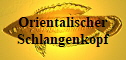 Orientalischer Schlangenkopf