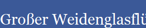 Groer Weidenglasflgler