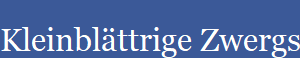 Kleinblttrige Zwergseerose