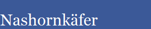 Nashornkfer