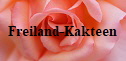 Freiland-Kakteen