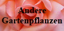 Andere Gartenpflanzen