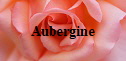 Aubergine