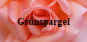 Grnspargel