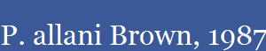 P. allani Brown, 1987