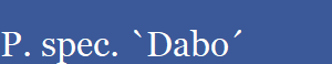 P. spec. `Dabo