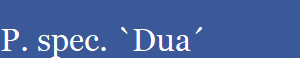 P. spec. `Dua