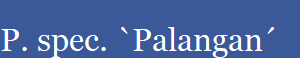 P. spec. `Palangan