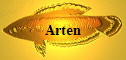 Arten