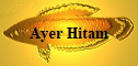 Ayer Hitam