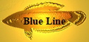 Blue Line