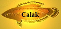 Calak