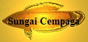Sungai Cempaga