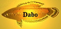 Dabo