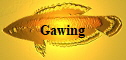 Gawing