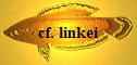 cf. linkei