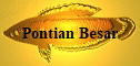 Pontian Besar