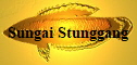 Sungai Stunggang
