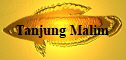 Tanjung Malim