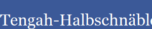 Tengah-Halbschnbler